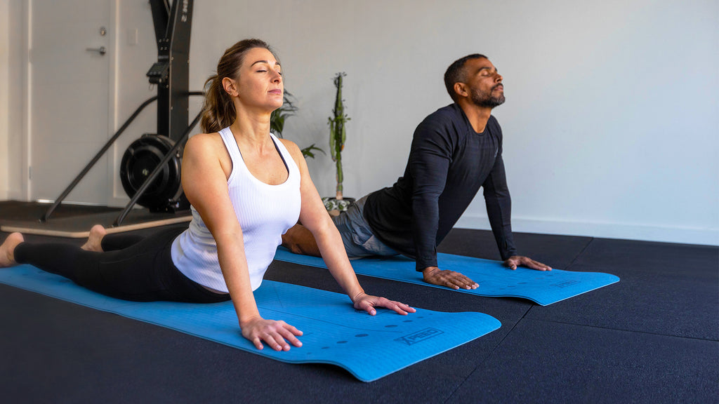 Balancing Fitness And Wellness A Comprehensive Guide Fitness Warehouse Australia