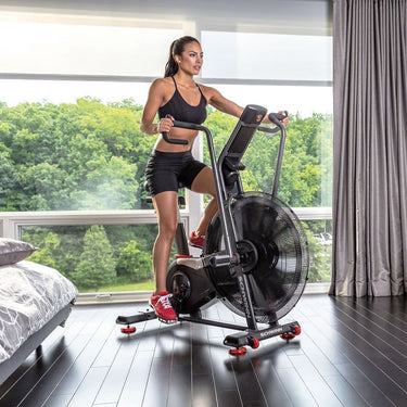 Schwinn AD8 AirDyne