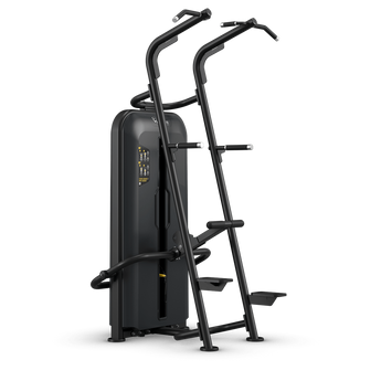 Vision Fitness Access Chin / Dip Assist
