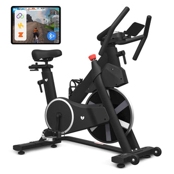 Lifespan Fitness SM-420 Spin Bike