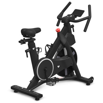 Lifespan Fitness SM-420 Spin Bike