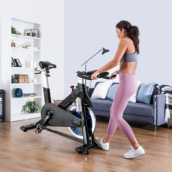 Lifespan Fitness SP-870 (M3) Spin Bike