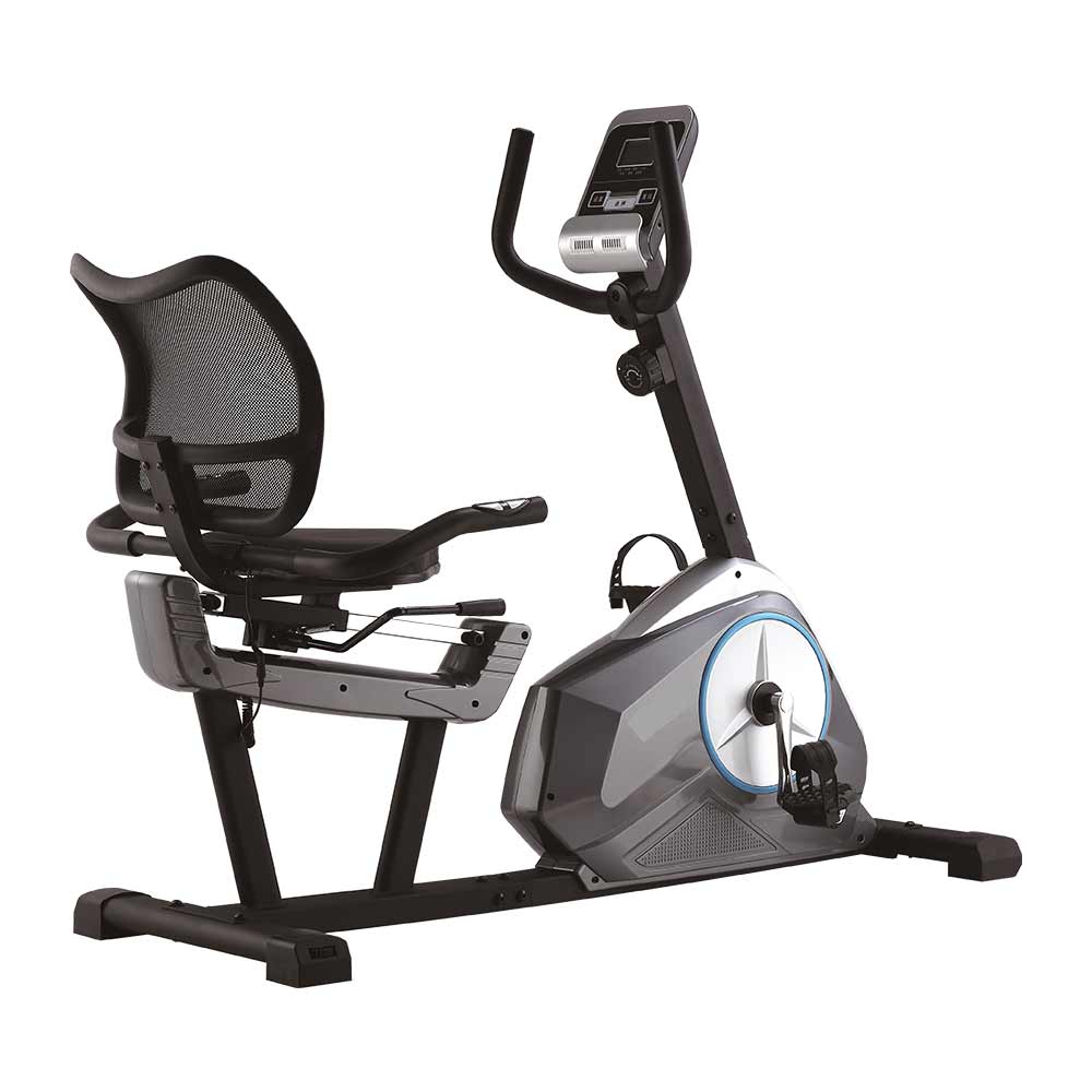 easy rider recumbent bike