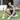 Bosu Ball Home Balance Trainer Female Resting